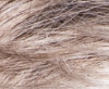 Sandy silver