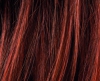 HOT CINNAMON