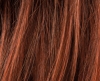 CINNAMONRED